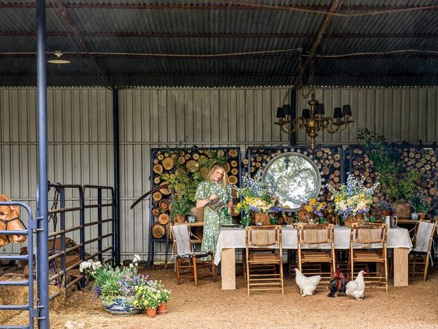 Woman sets a table inside a barn with chickens and a cow.