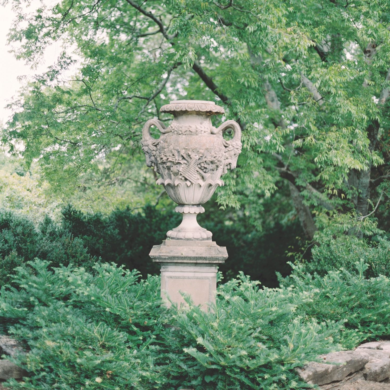 Ornate urn standing on pedestal among the greenery at Cheekwood