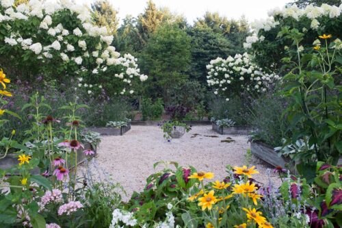 Gravel garden with yellow, white, and pink flowers.