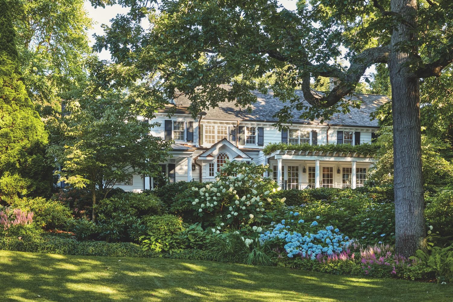 Blue hydrangeas outside a grand white home.