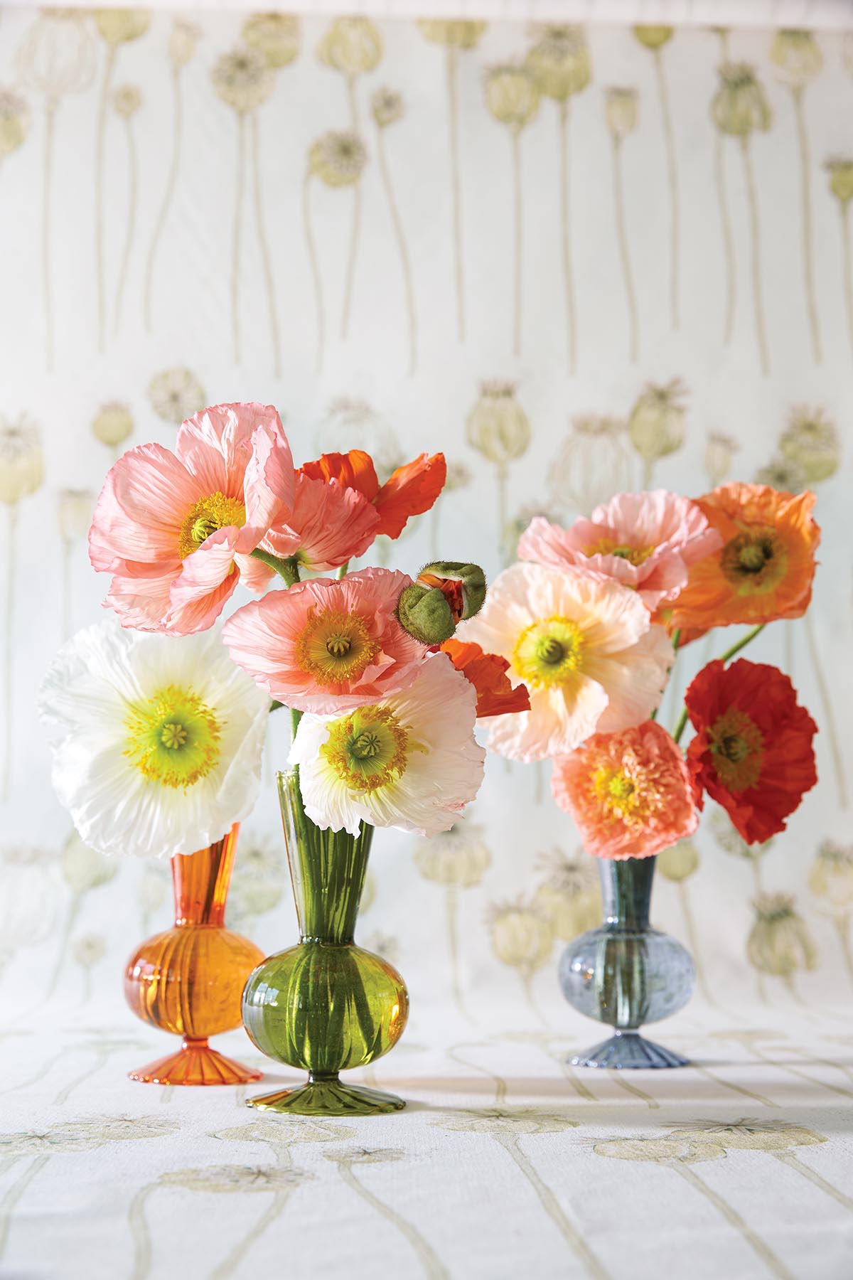 Frances Palmer's Dahlia Garden - Flower Magazine