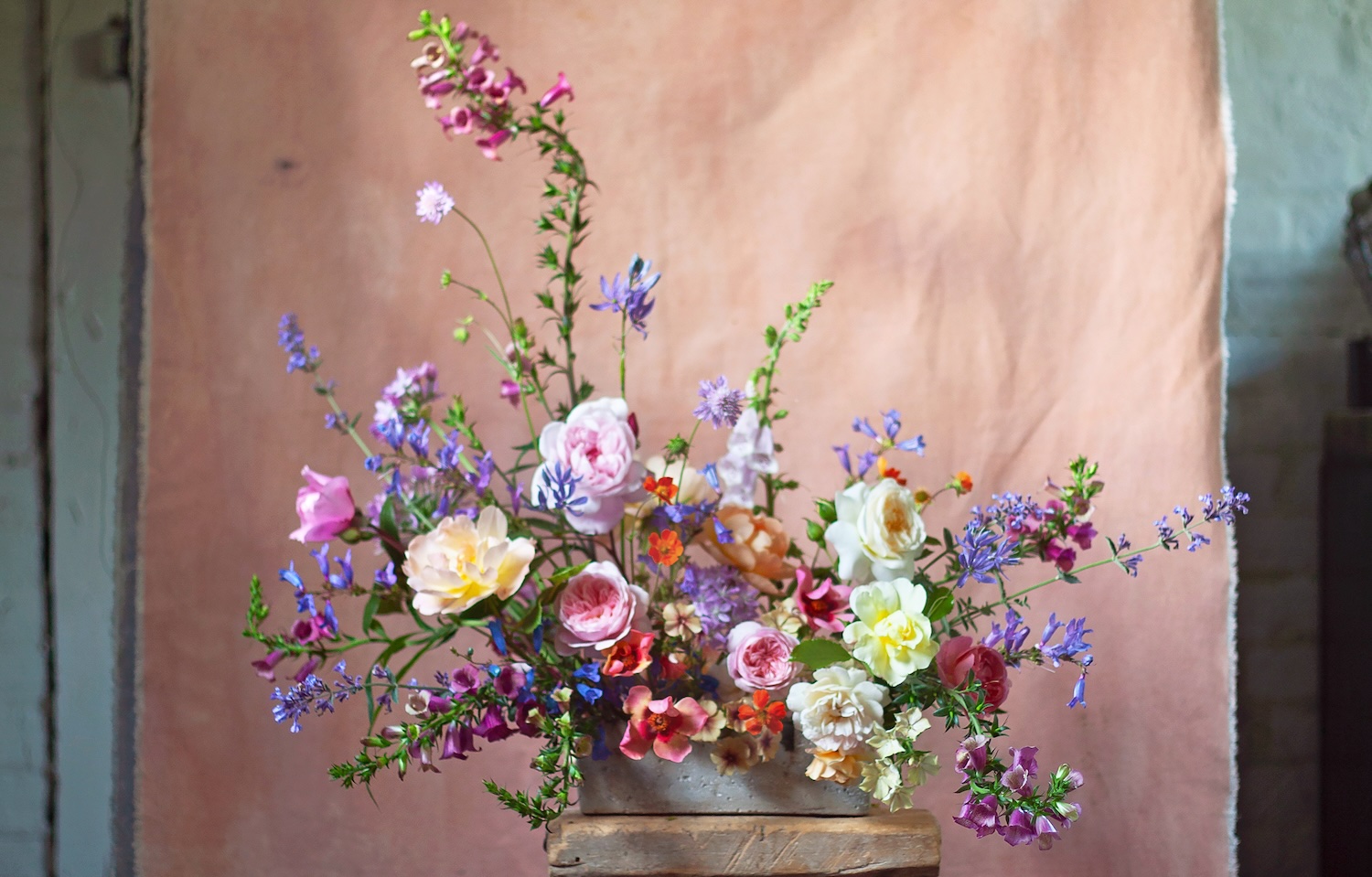 Frances Palmer's Dahlia Garden - Flower Magazine