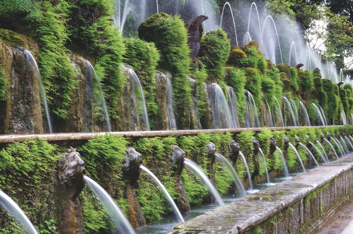 Spouts of water coming out from a wall of greenery.